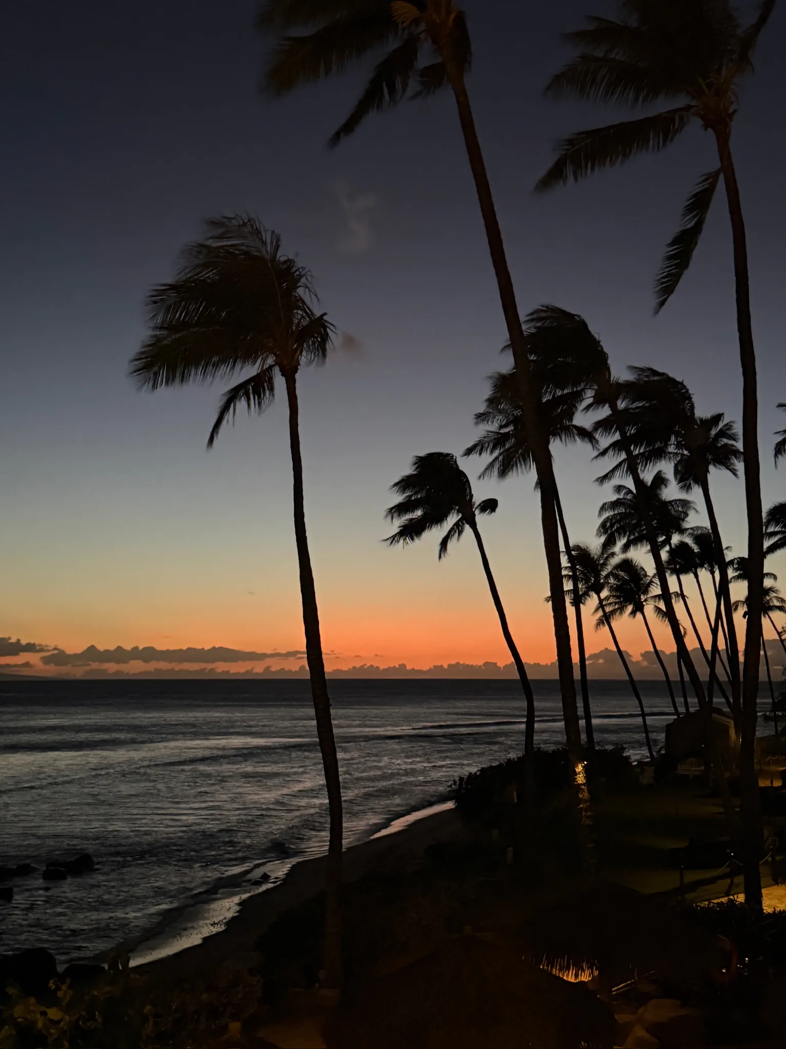 Tall palm trees silhouetted against a colorful sunset sky over a calm ocean and beach, with gentle waves and faint lights along the shore.