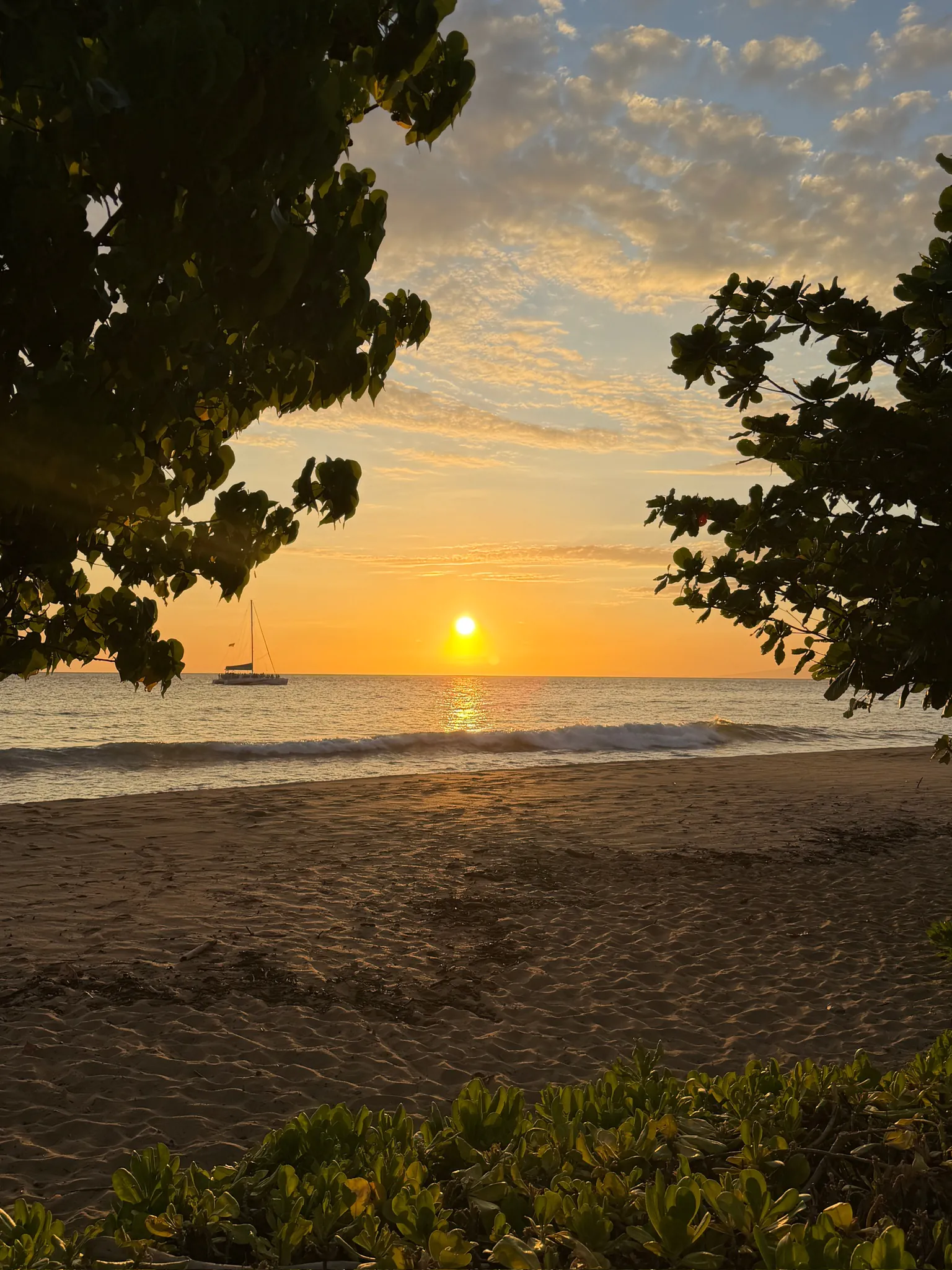 Sunset over the ocean seen from a sandy beach, framed by leafy trees, with a sailboat on the horizon under an orange sky.
