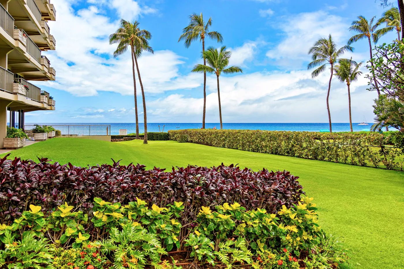 Resort garden with ocean and palm trees.