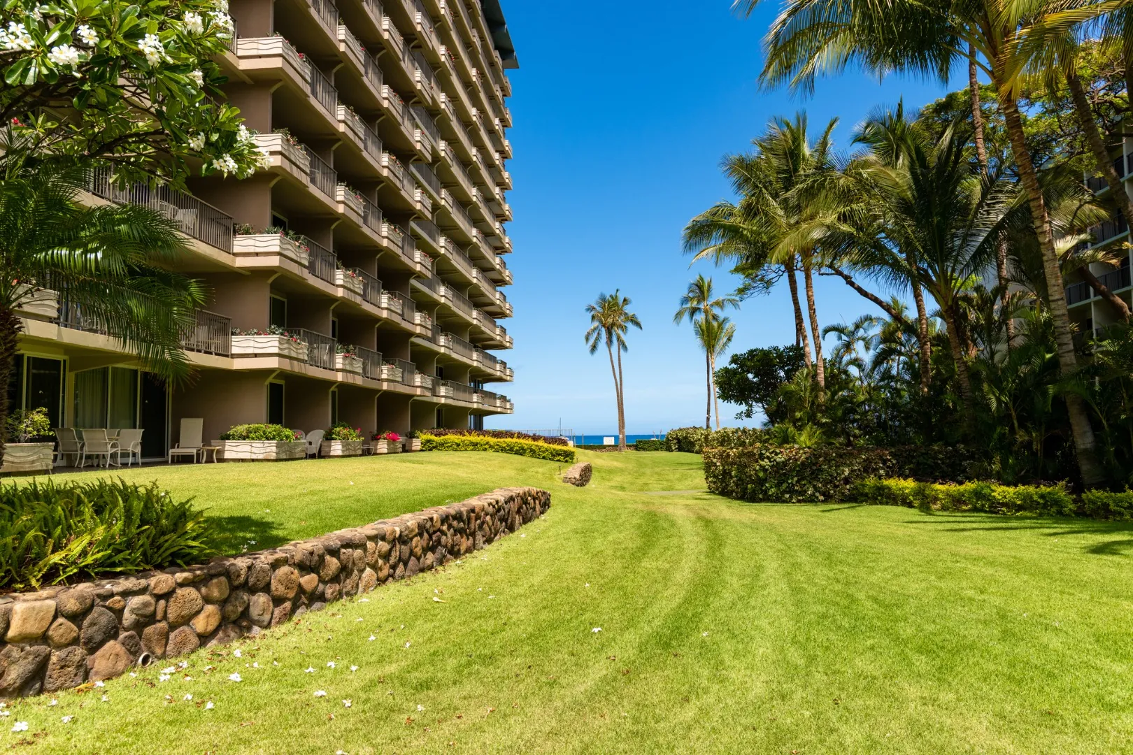 Resort garden area with ocean view.