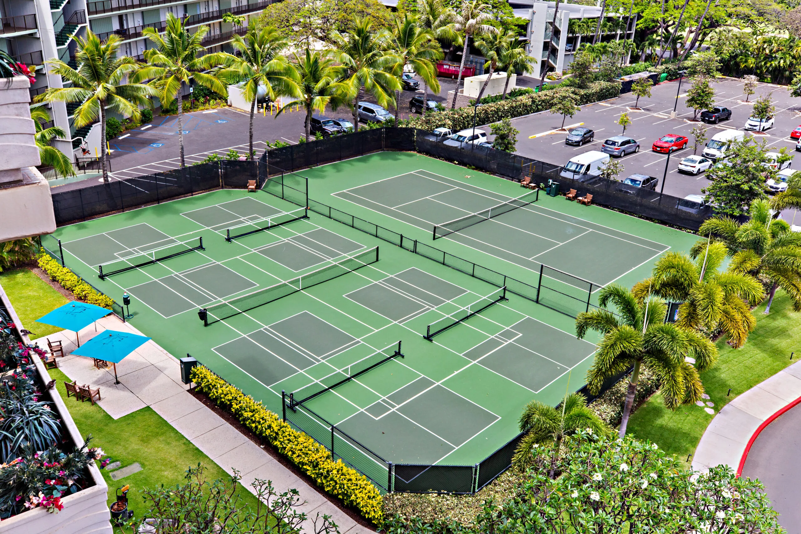 Resort tennis courts surrounded by palm trees.