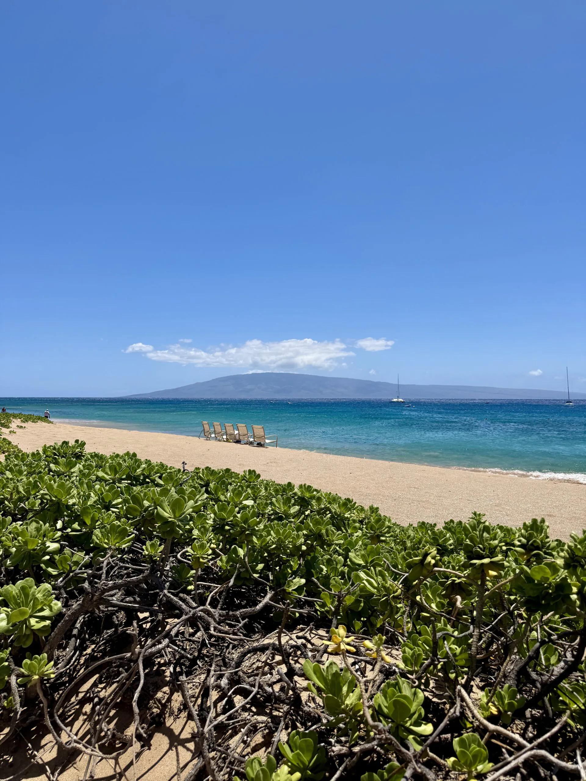 MAUI BEACH DAY