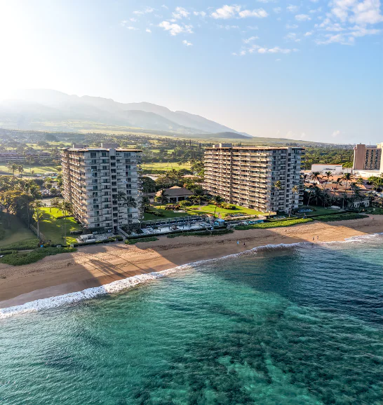 The Spirit of Aloha